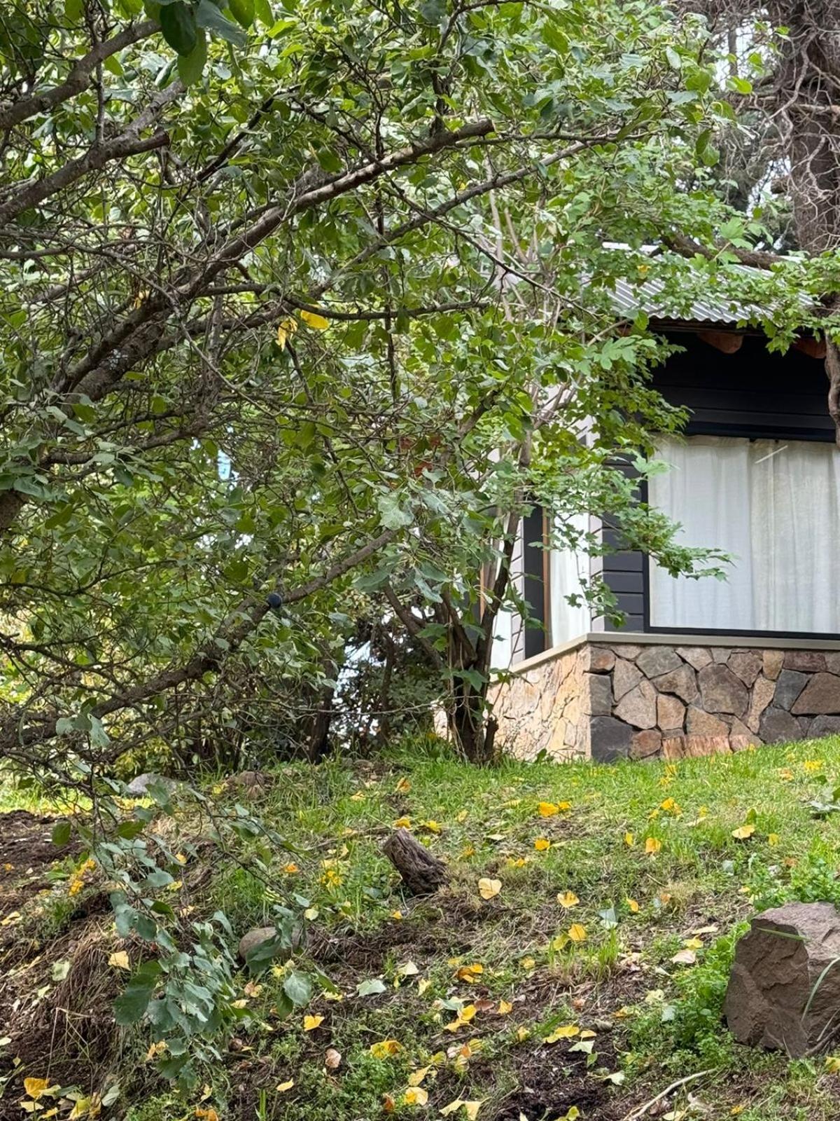 Villa Huilen De Bandurrias San Martín de los Andes Exterior foto